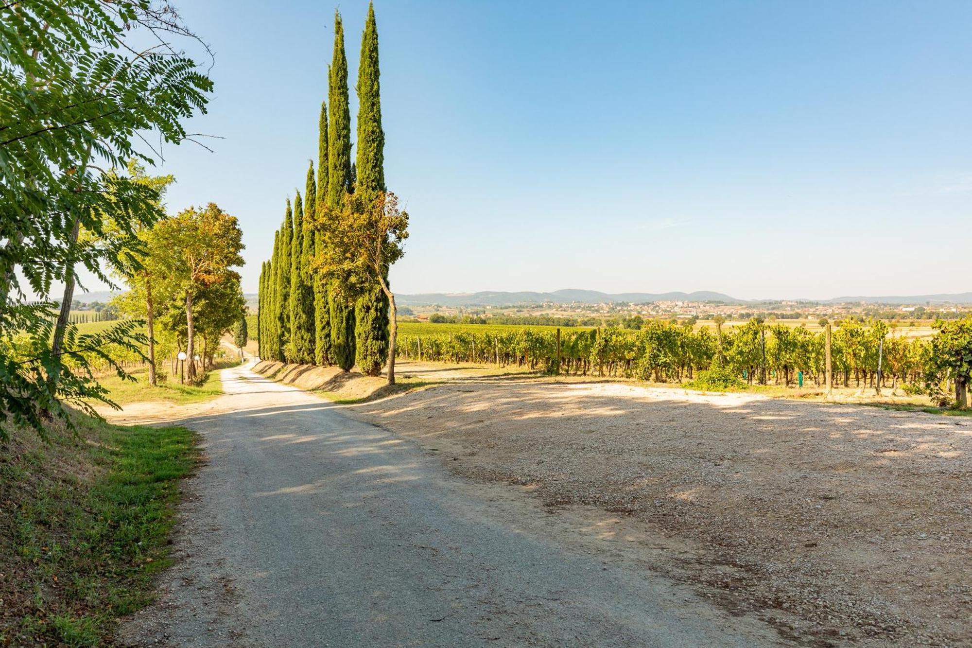 Montepulciano Stazione Vermentinoヴィラ エクステリア 写真