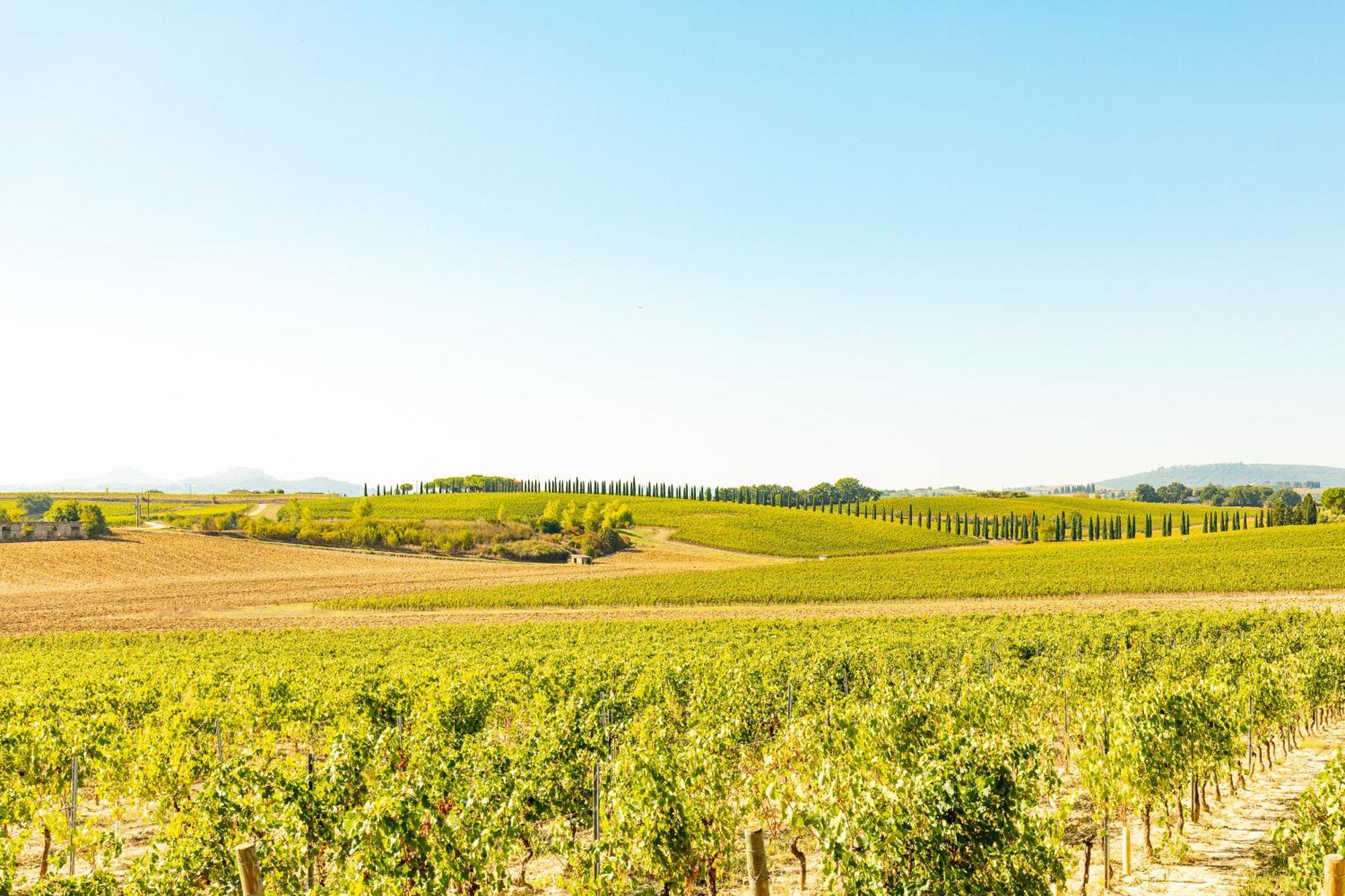 Montepulciano Stazione Vermentinoヴィラ エクステリア 写真