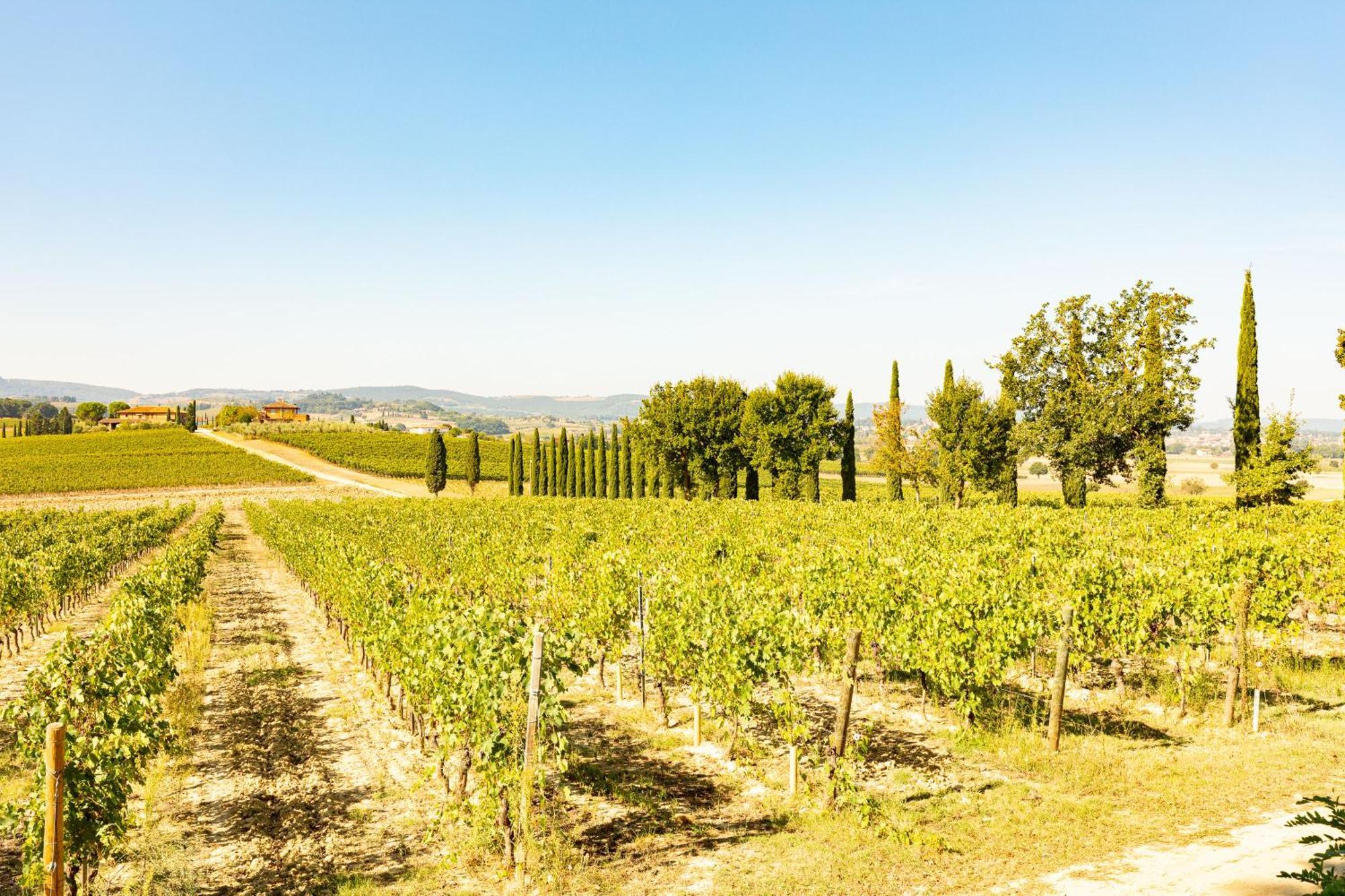 Montepulciano Stazione Vermentinoヴィラ エクステリア 写真